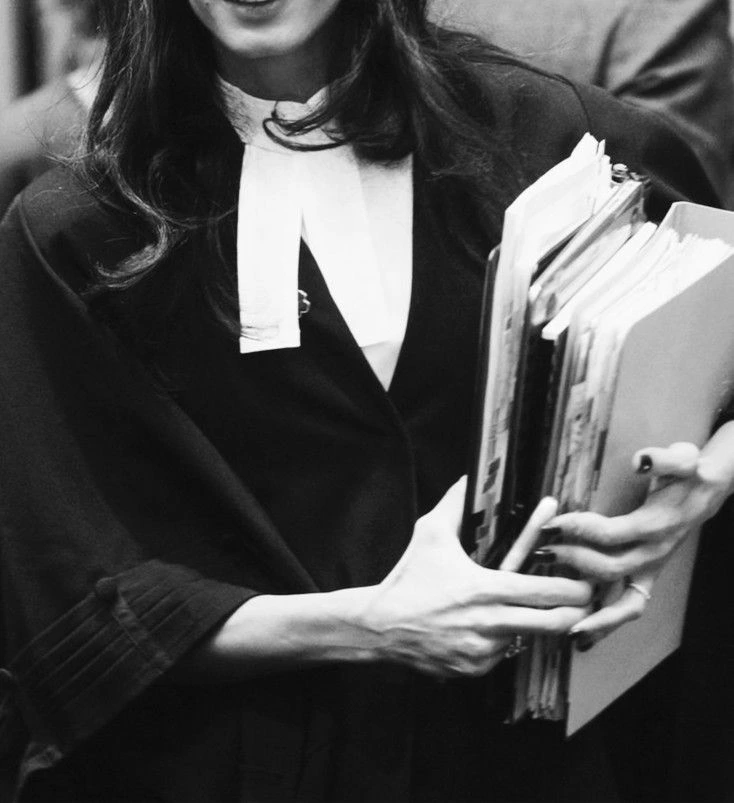 The Judge